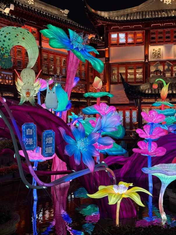 上海豫園灯会09